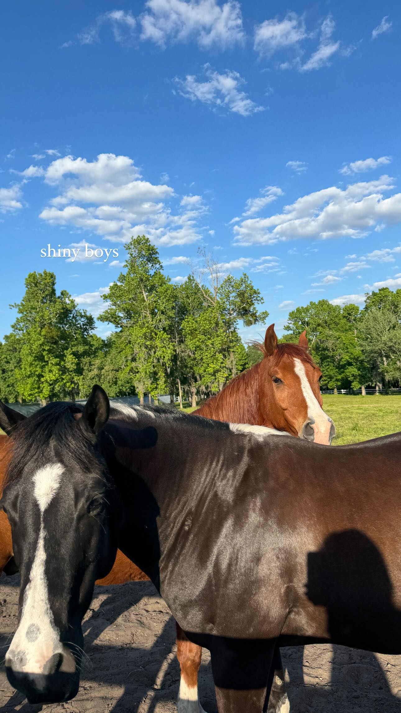 corinnakopf instagram image archive image