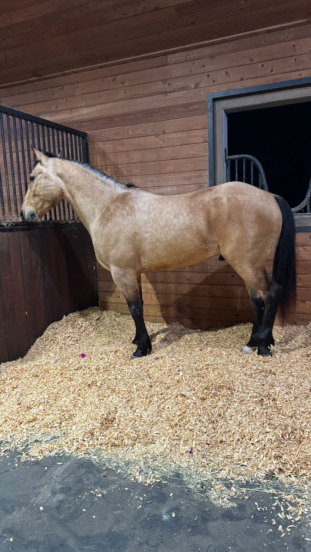 corinnakopf instagram image archive image