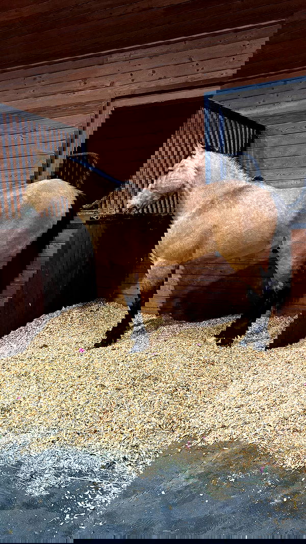 corinnakopf image ~ Altpins