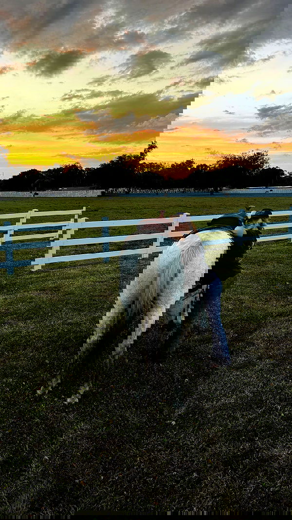 corinnakopf image ~ Altpins