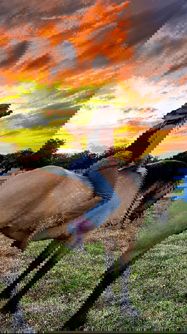 corinnakopf image ~ Altpins