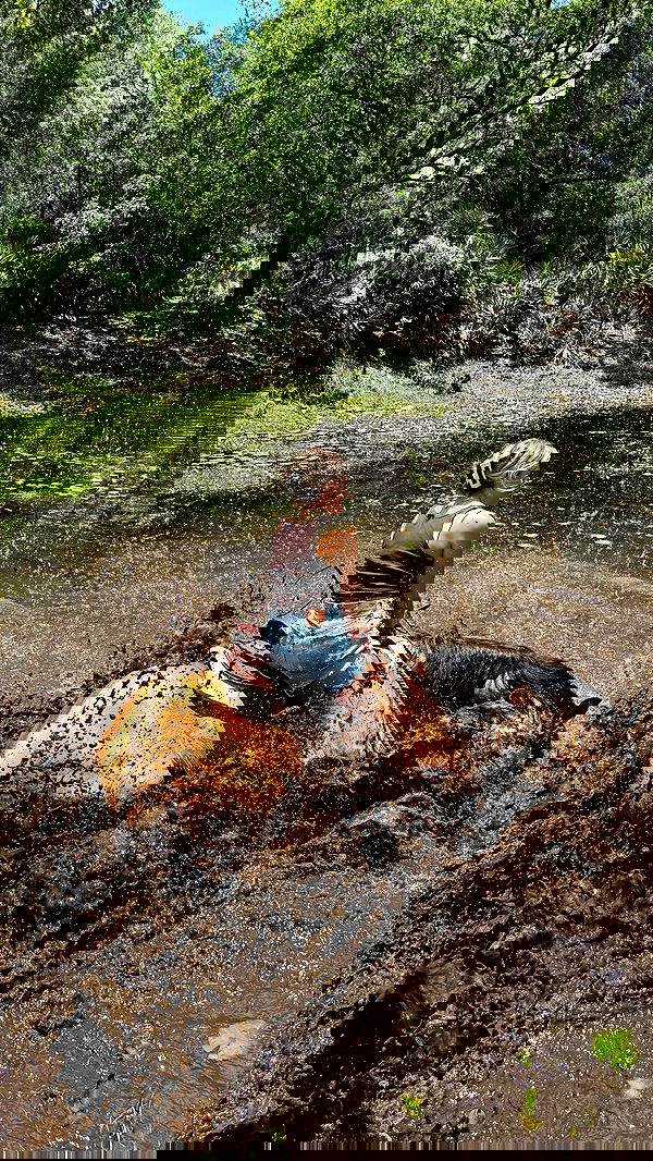 corinnakopf image ~ Altpins