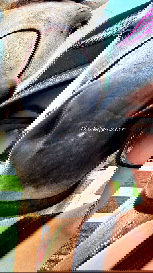 corinnakopf image ~ Altpins