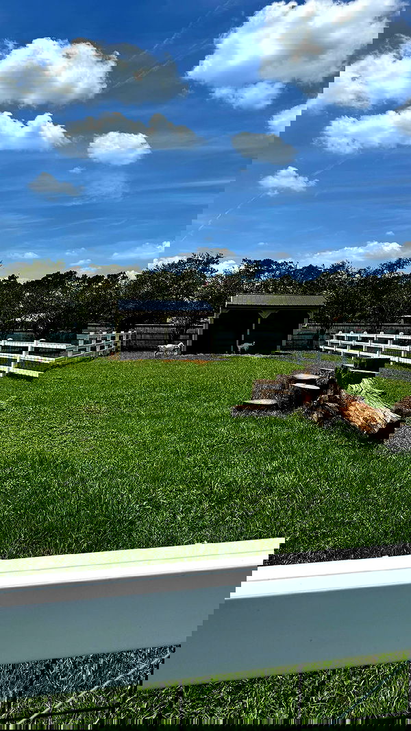 corinnakopf image ~ Altpins