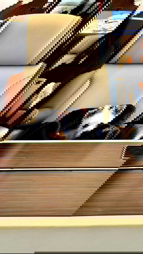 corinnakopf image ~ Altpins