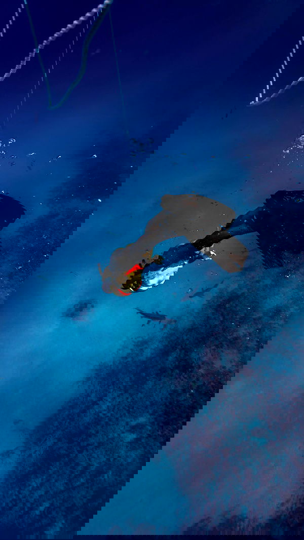 corinnakopf image ~ Altpins