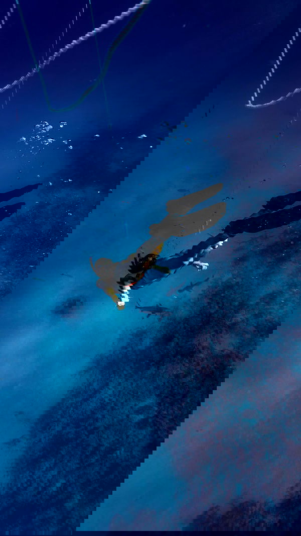 corinnakopf image ~ Altpins