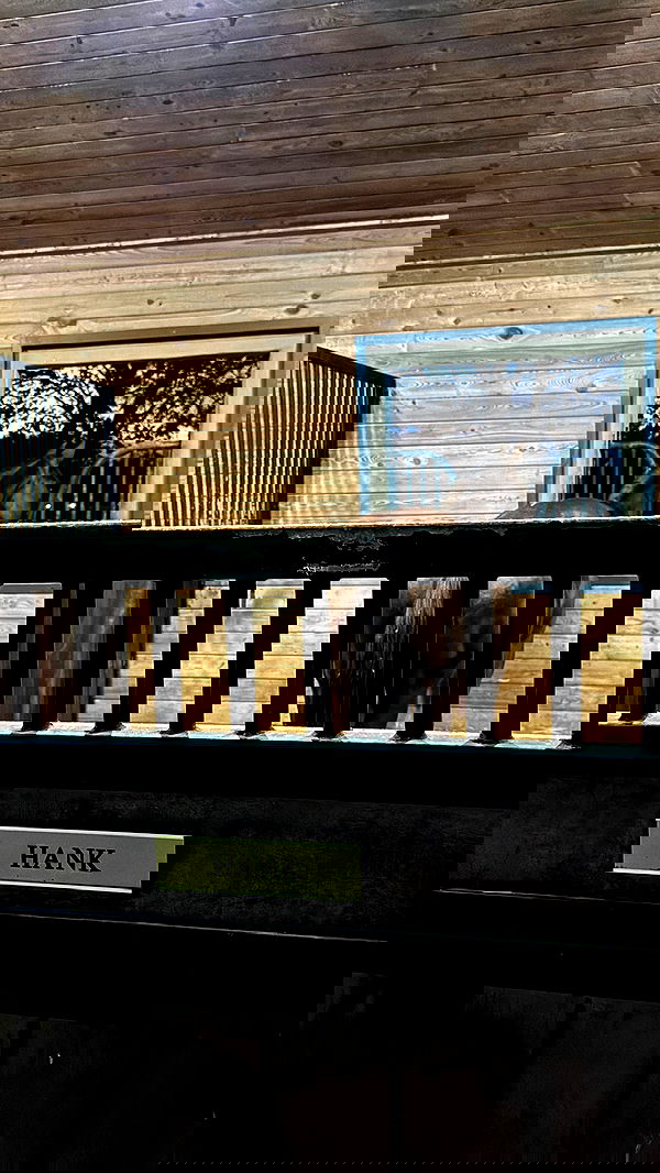 corinnakopf image ~ Altpins