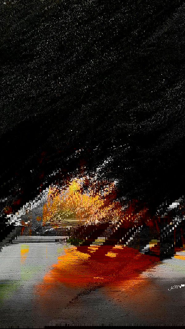 corinnakopf image ~ Altpins