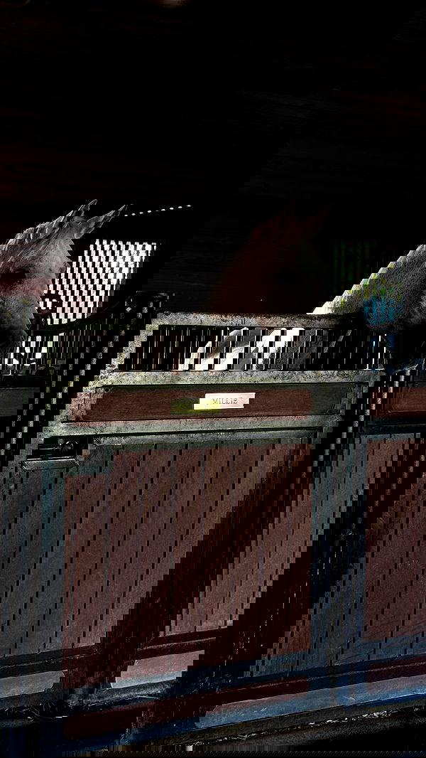 corinnakopf image ~ Altpins