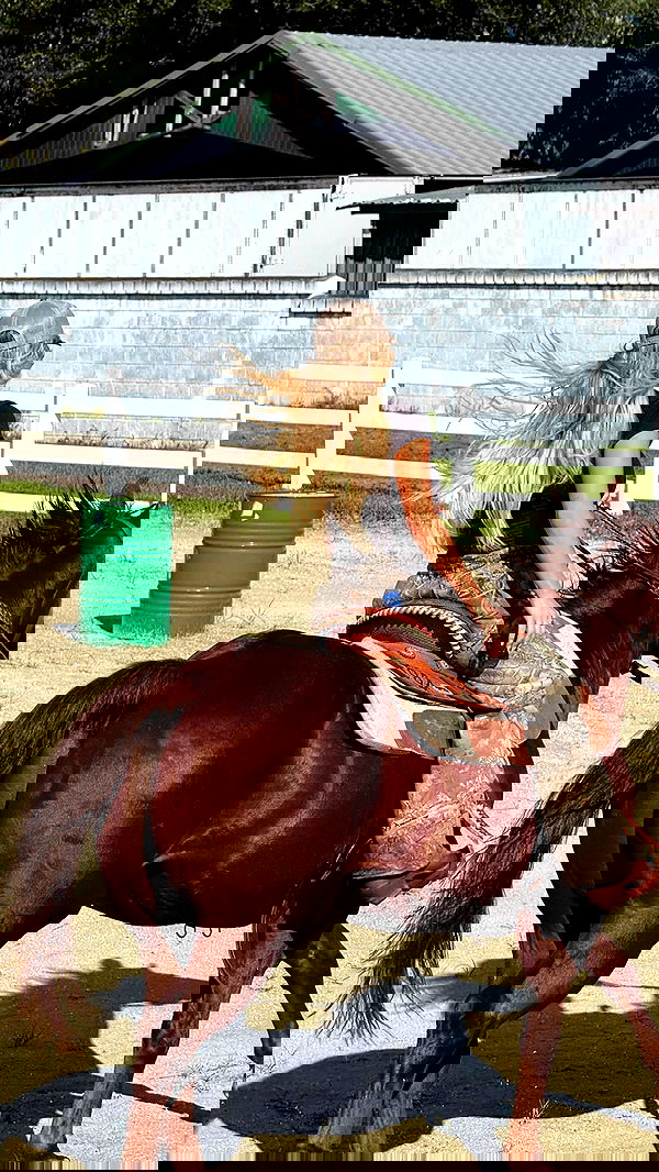 corinnakopf image ~ Altpins