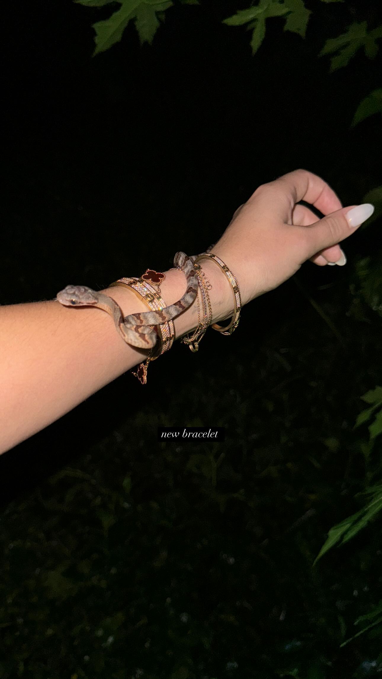 corinnakopf instagram image archive image