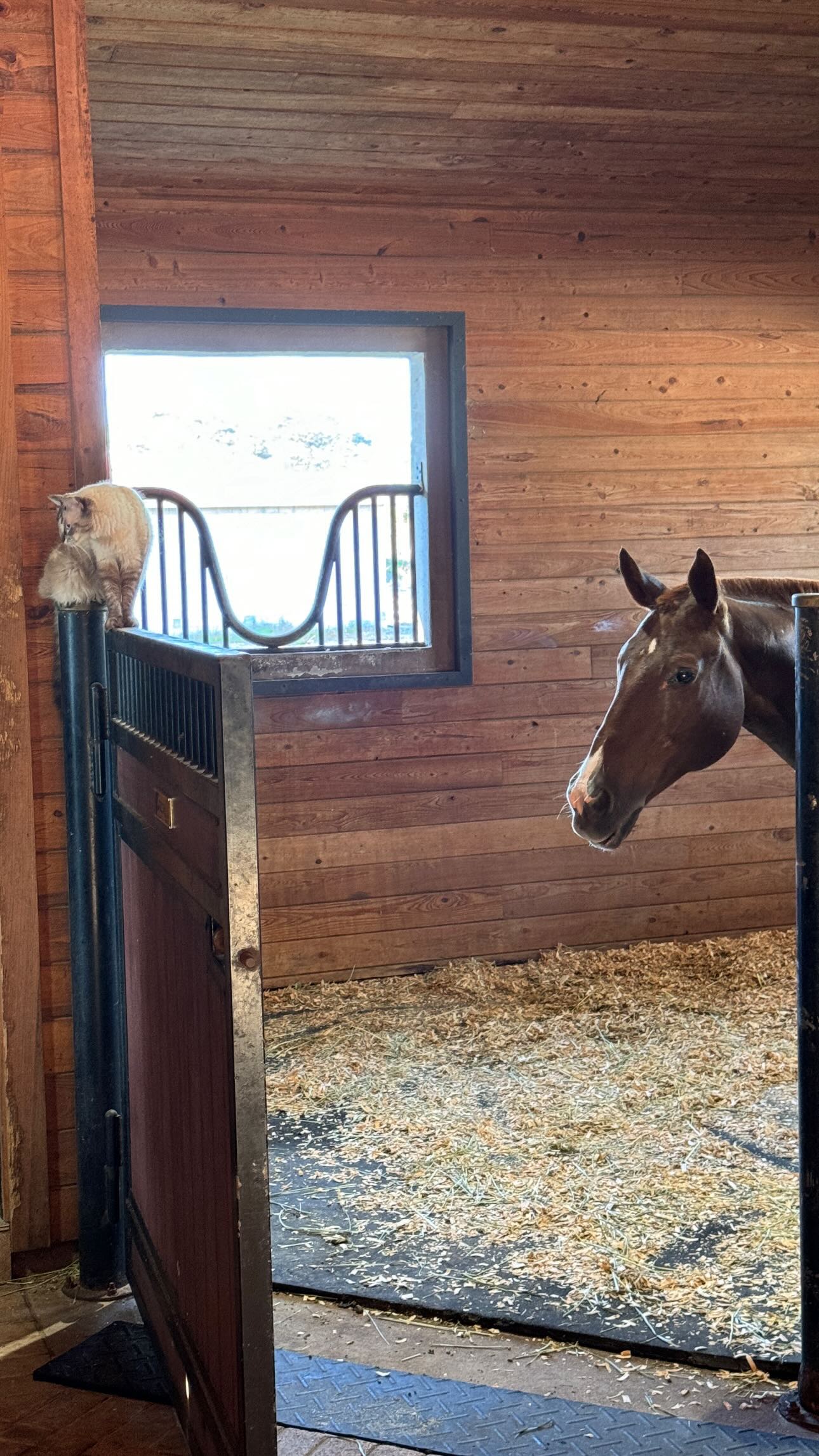 corinnakopf instagram image archive image