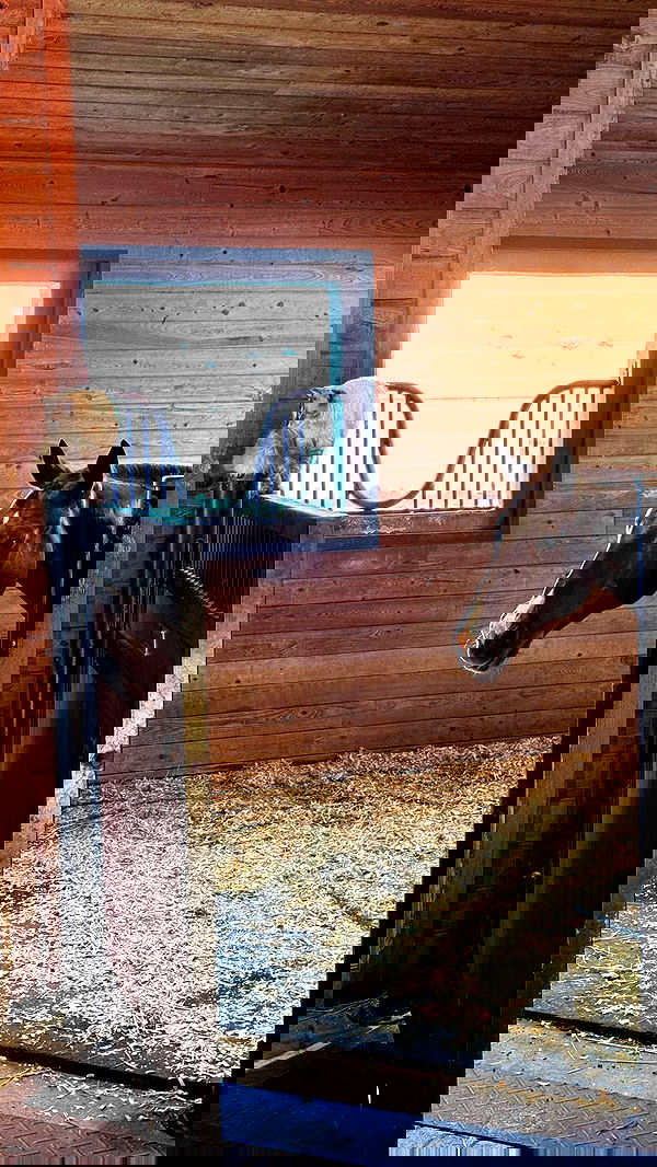 corinnakopf image ~ Altpins