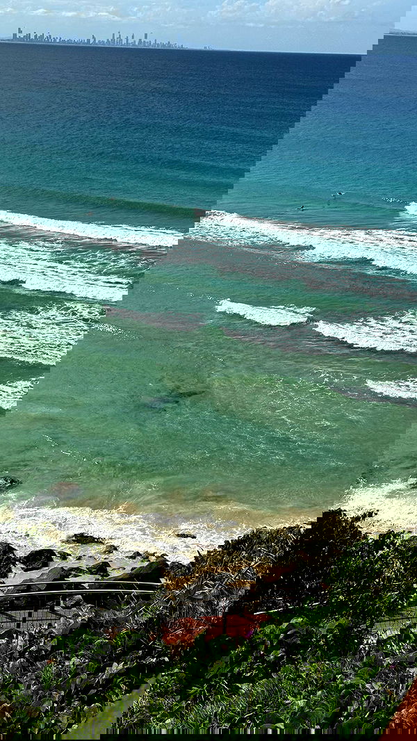 corinnakopf image ~ Altpins