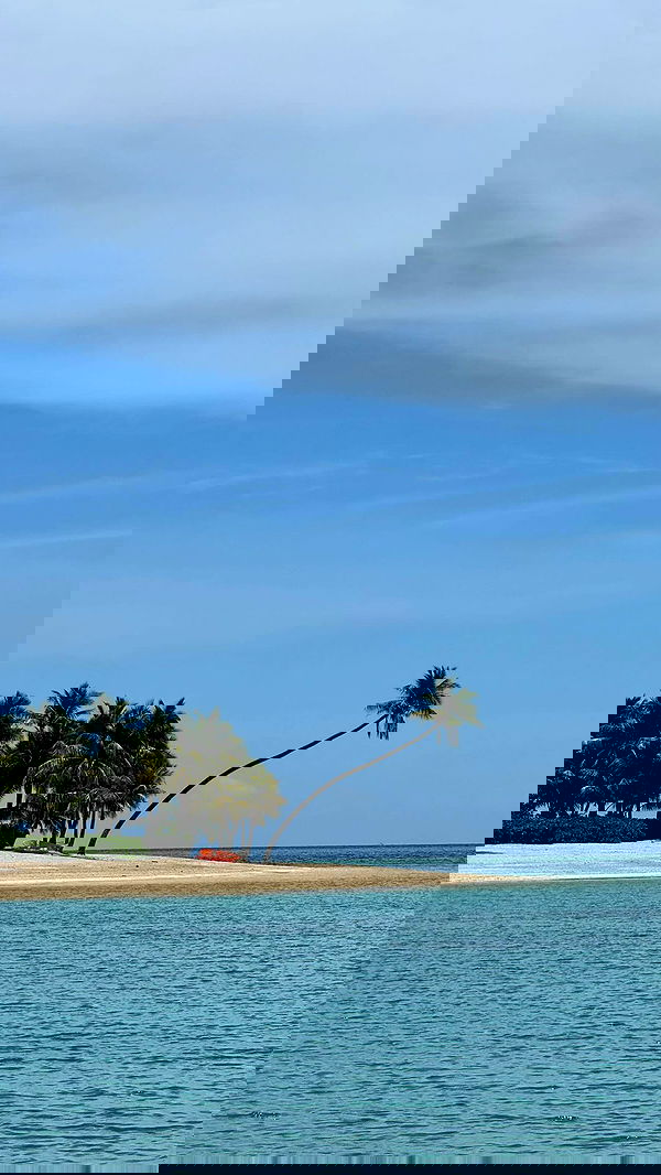 corinnakopf image ~ Altpins