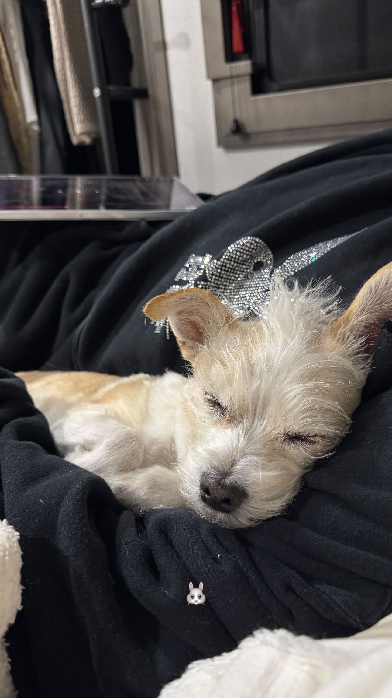 corinnakopf instagram image archive image