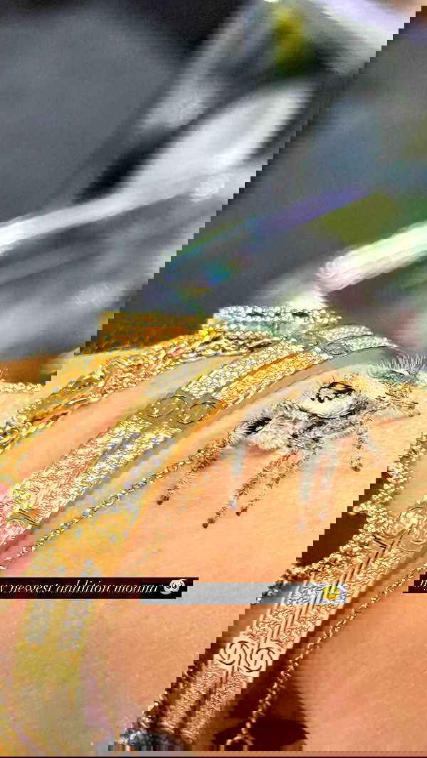 corinnakopf image ~ Altpins