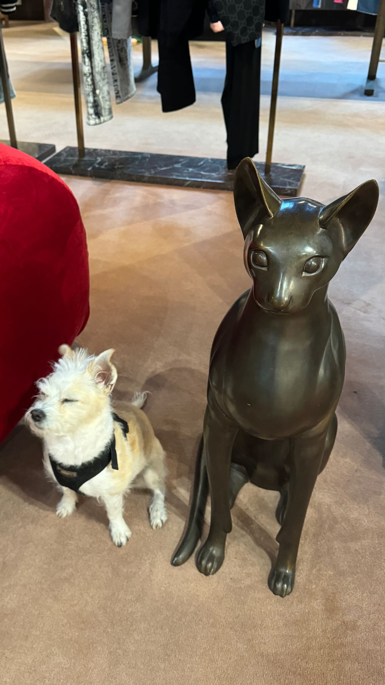 corinnakopf instagram image archive image