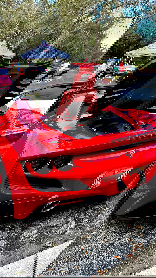 corinnakopf image ~ Altpins