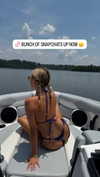 corinnakopf Altpins Profile Picture