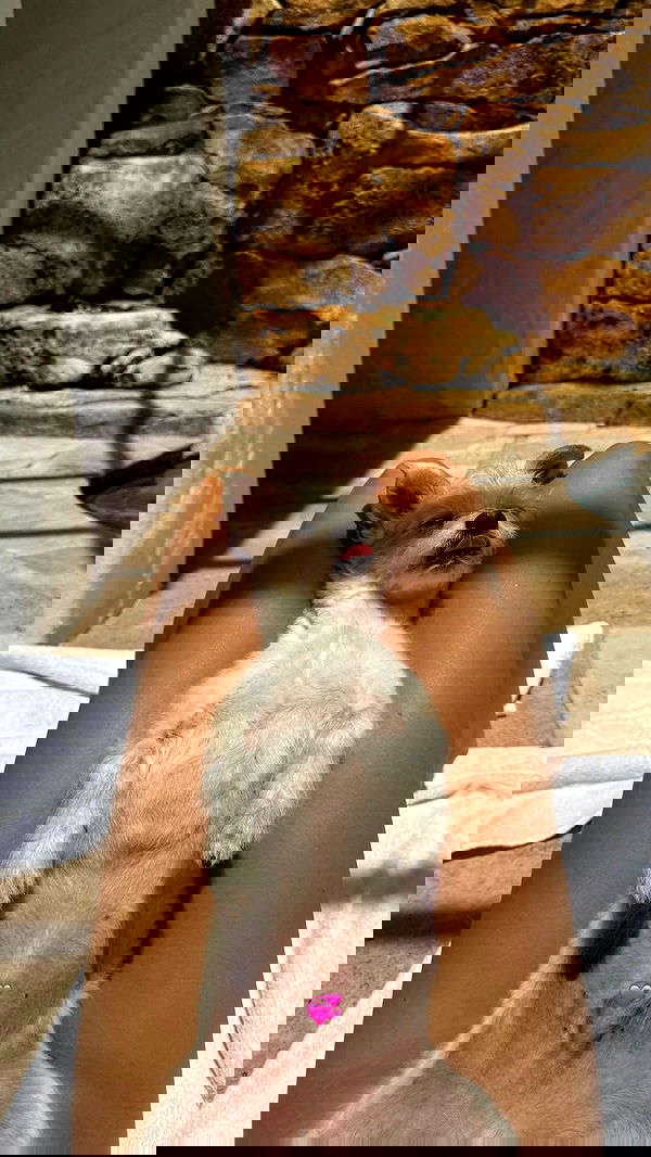 corinnakopf image ~ Altpins