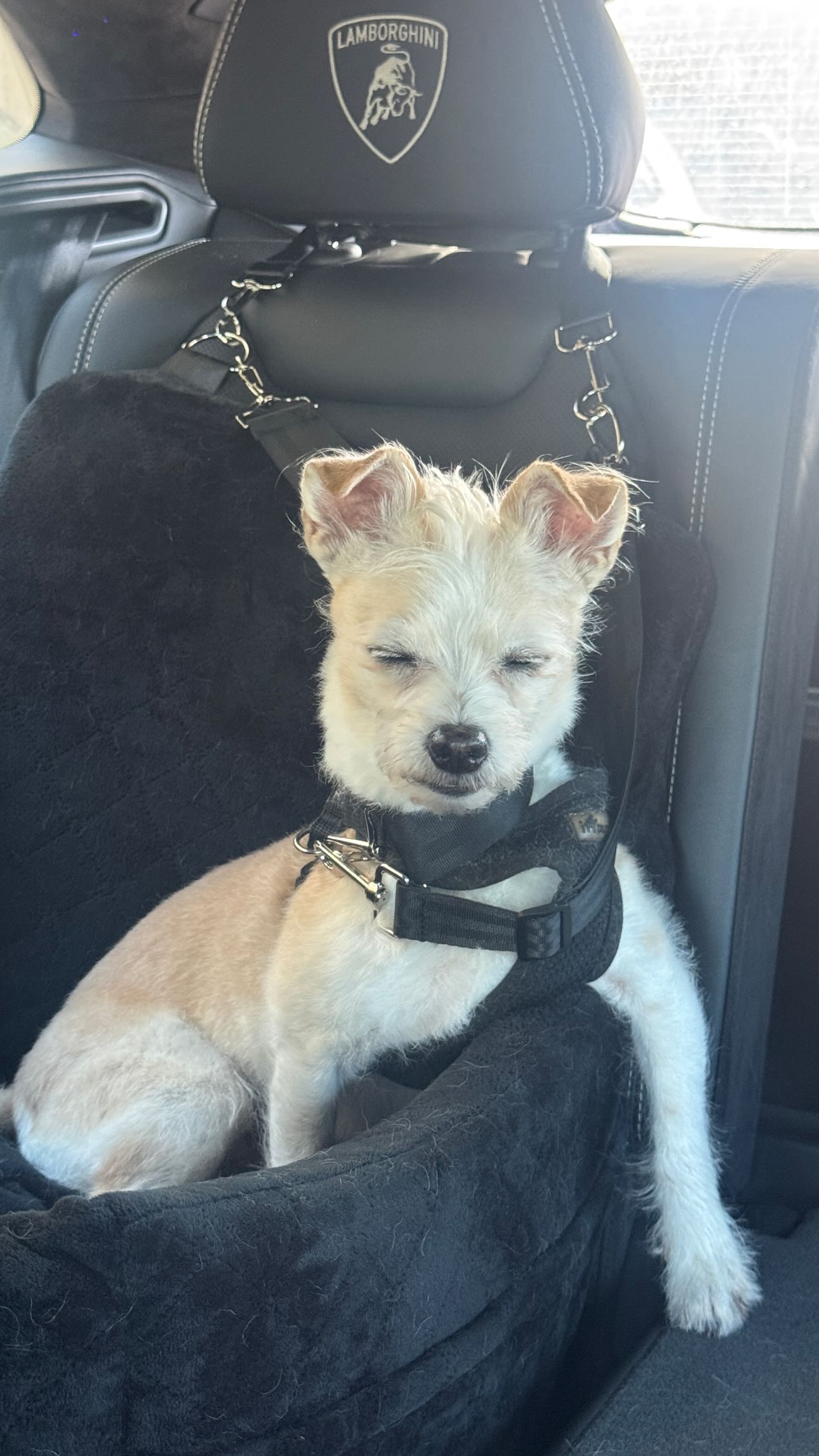 corinnakopf instagram image archive image