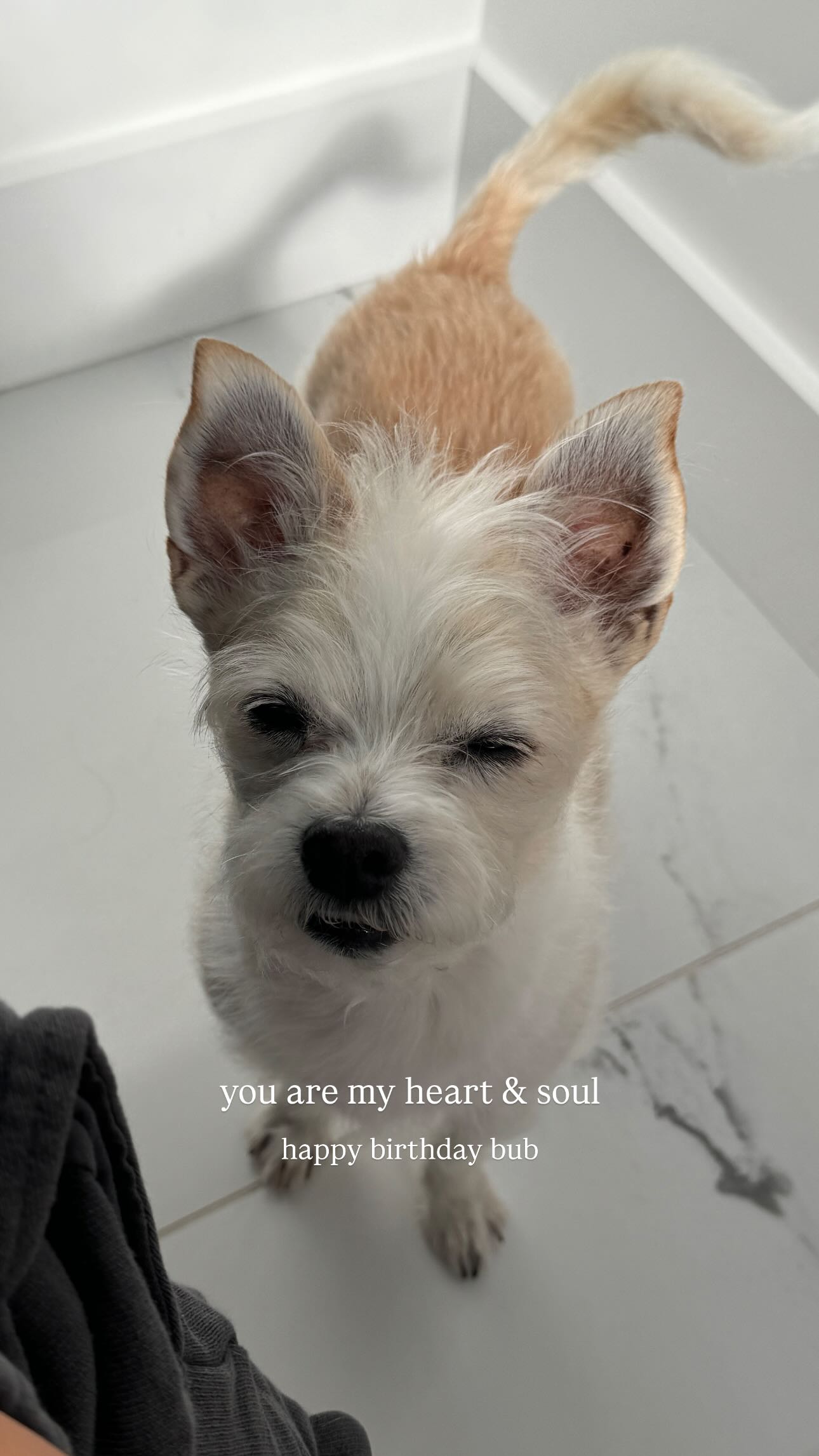 corinnakopf instagram image archive image