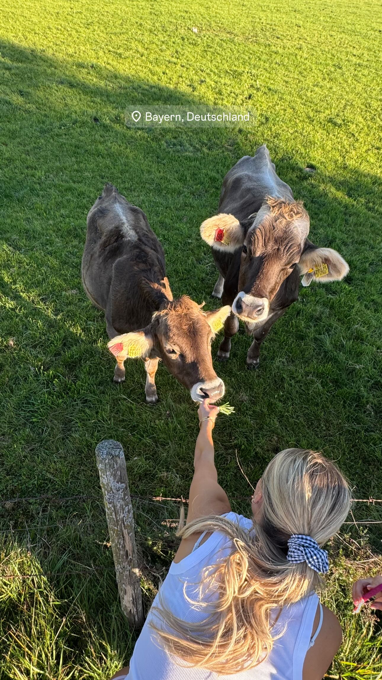 corinnakopf instagram image archive image