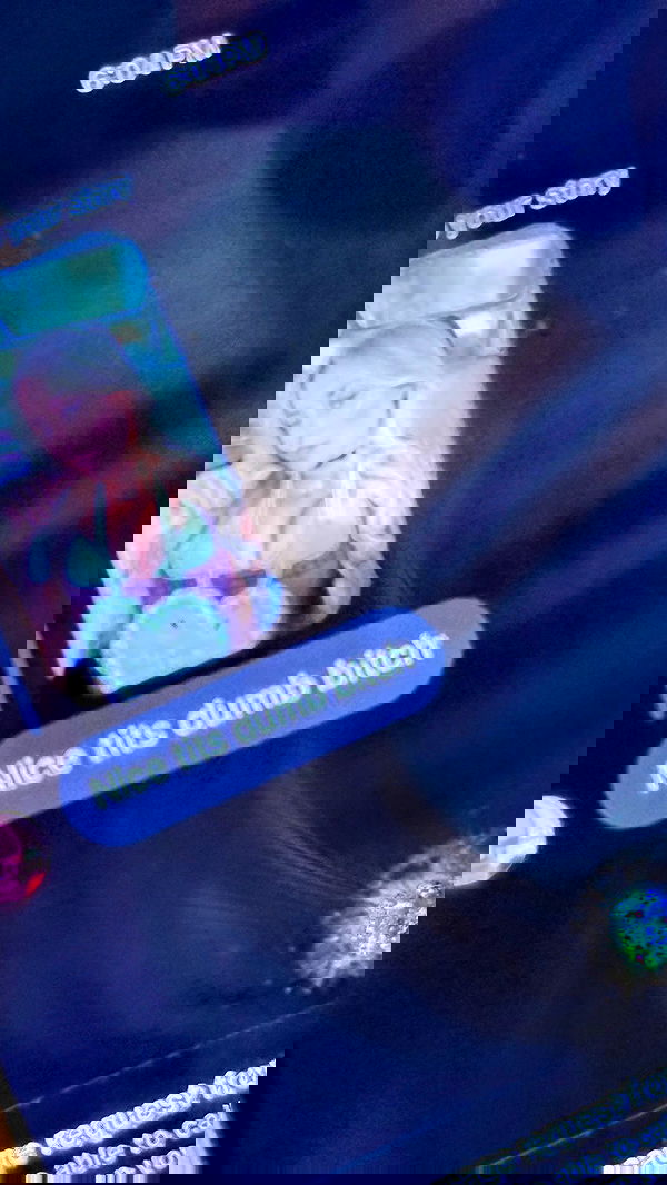 corinnakopf image ~ Altpins