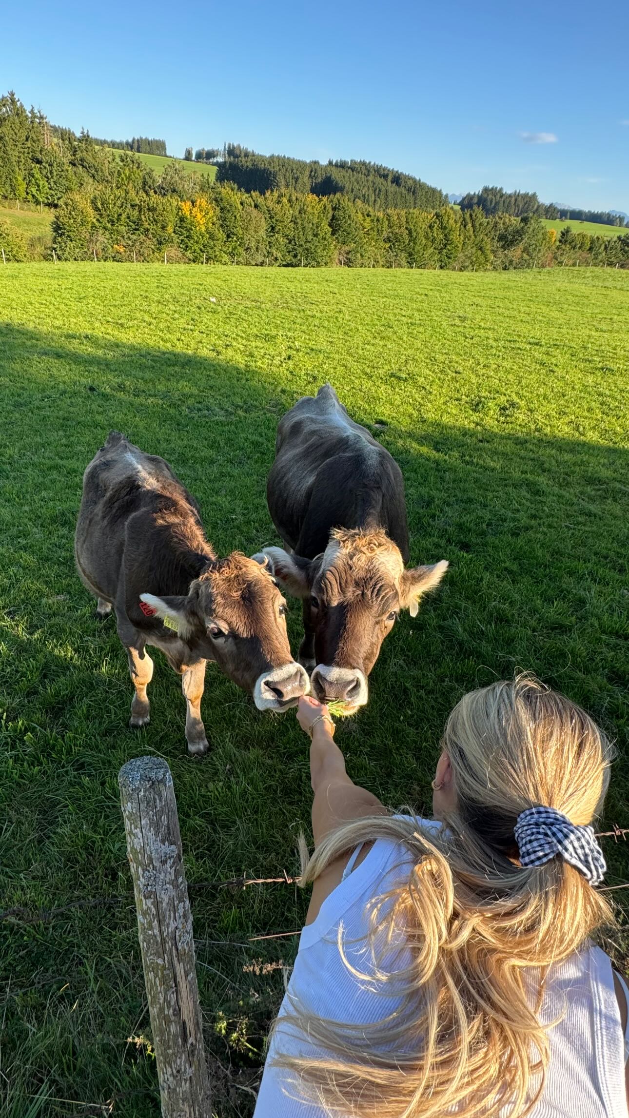 corinnakopf instagram image archive image