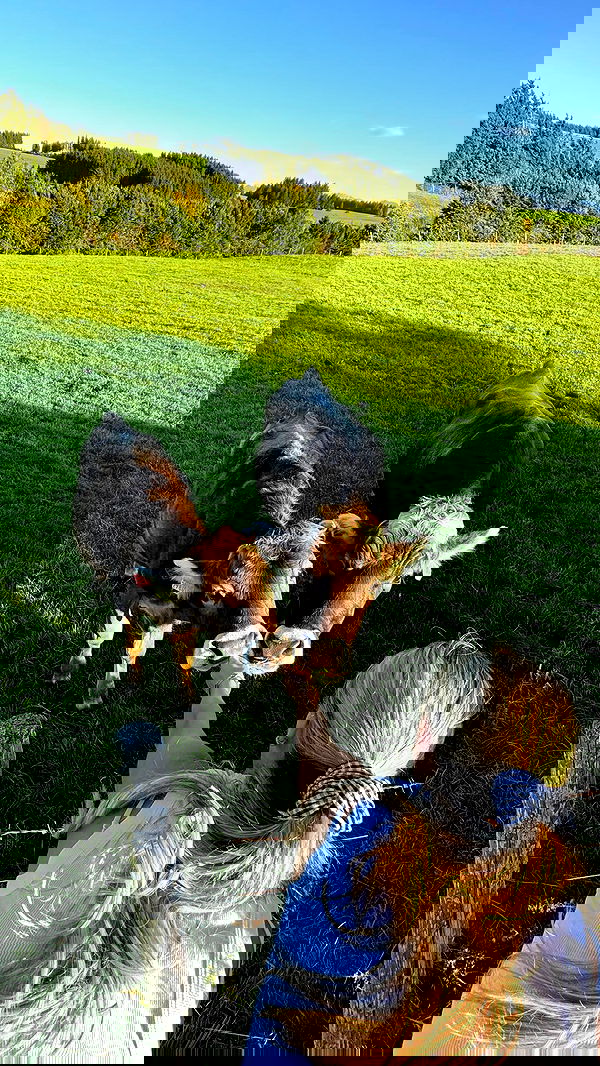 corinnakopf image ~ Altpins