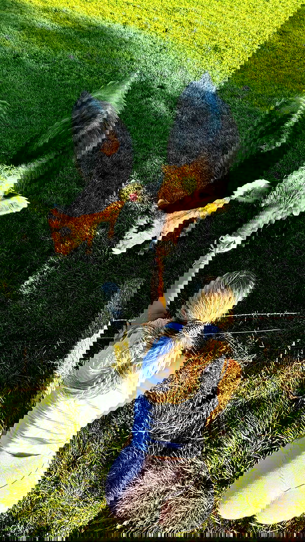 corinnakopf image ~ Altpins