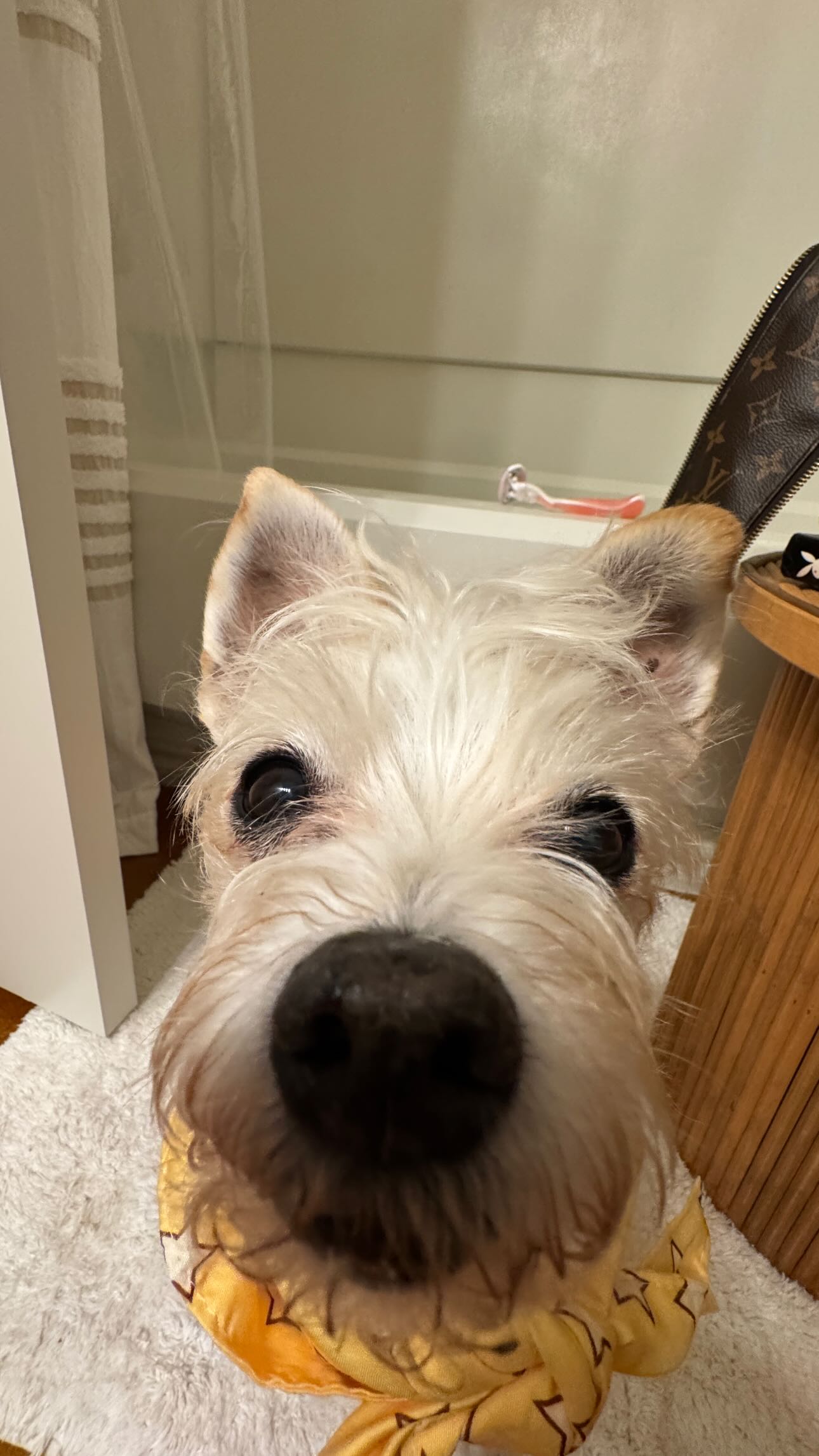 corinnakopf instagram image archive image