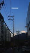 crocatana Altpins Profile Picture