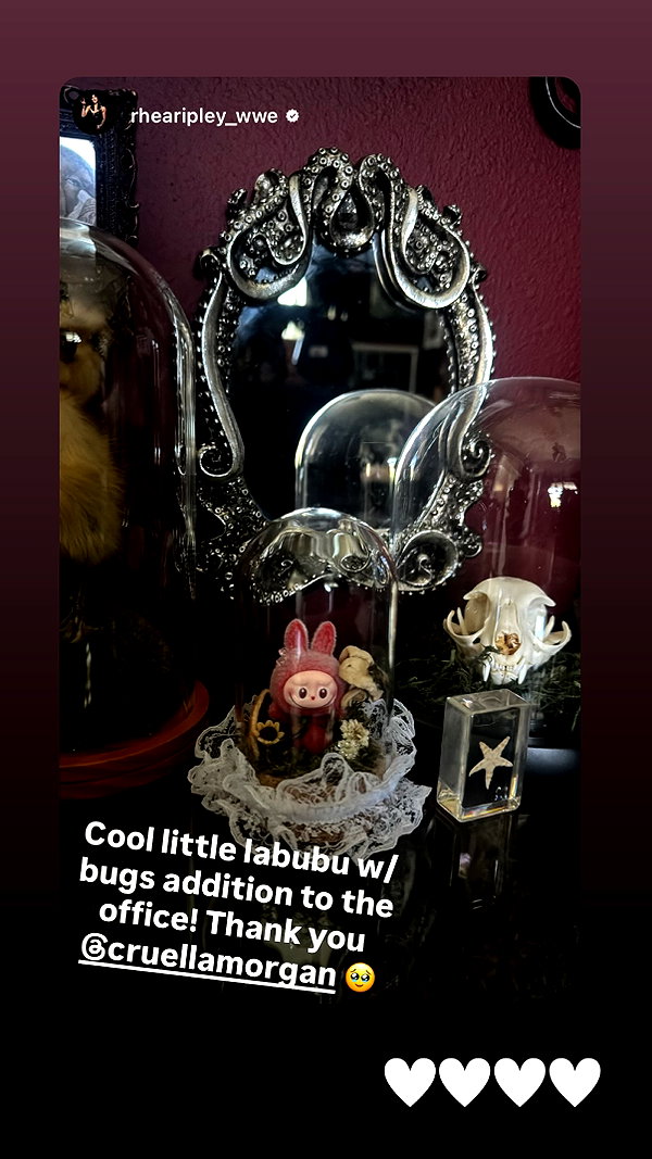 cruellamorgan instagram image archive image