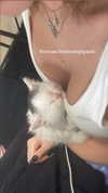 cyberbunniex Altpins Profile Picture