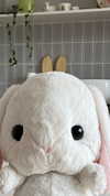 cyberkitty_____ Altpins Profile Picture