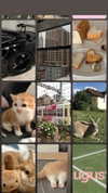 cyberkitty_____ Altpins Profile Picture