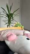 cyberkitty_____ Altpins Profile Picture