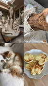 cyberkitty_____ Altpins Profile Picture