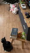 cyberkitty_____ Altpins Profile Picture