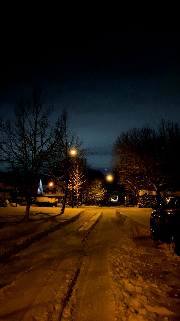 cyngxq instagram image archive image