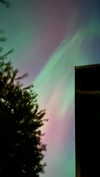 cyngxq Altpins Profile Picture