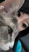 d0lli.ii Altpins Profile Picture