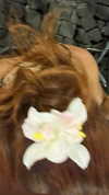 d3ad.doll Altpins Profile Picture
