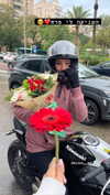 da.rk_.angel Altpins Profile Picture