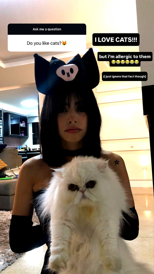daihanabalieiro instagram image archive image