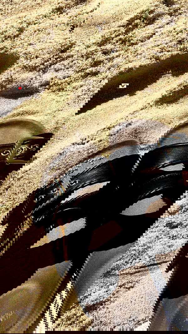 dana_ratushany image ~ Altpins