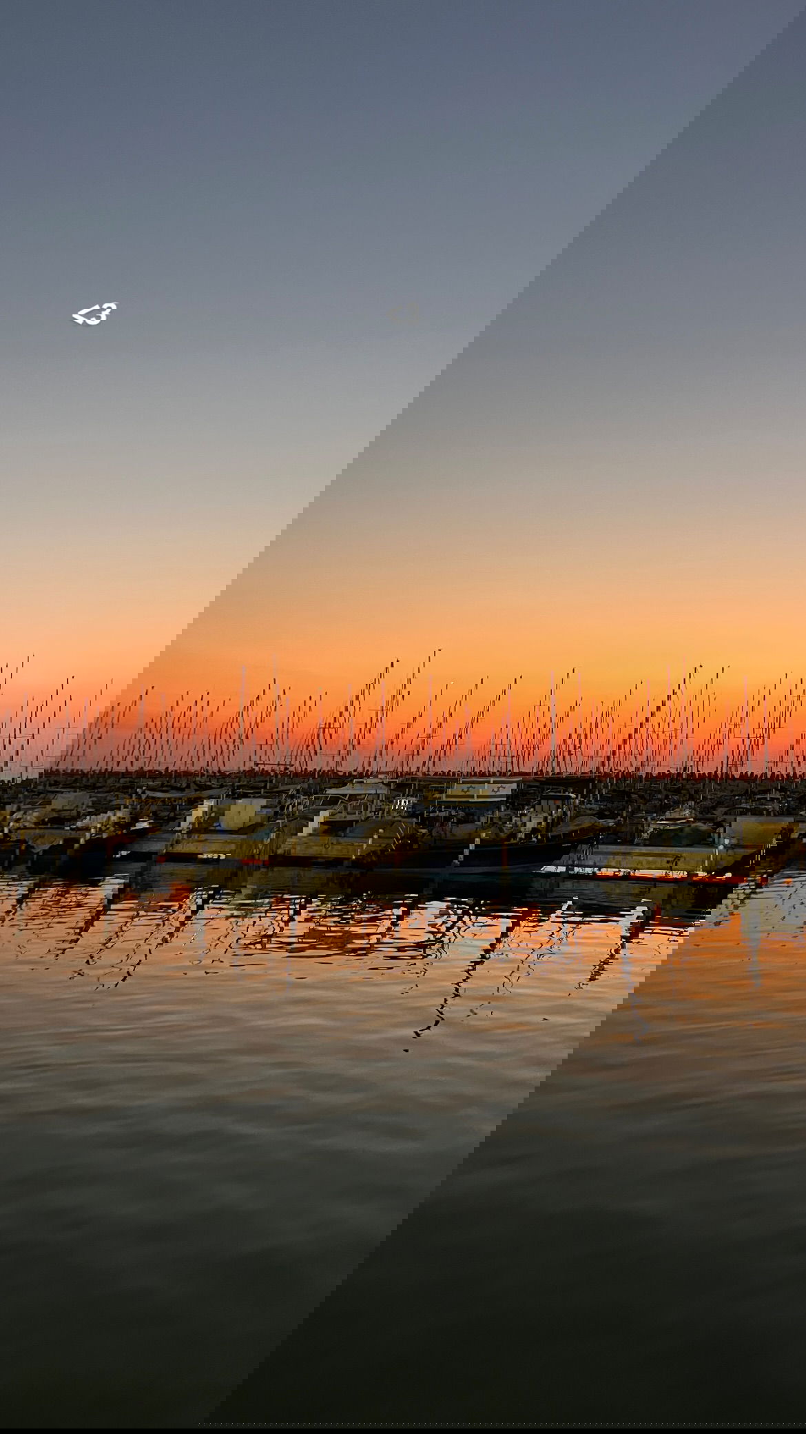 dana_ratushany instagram image archive image